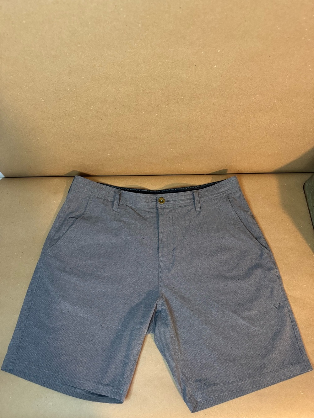 Vissla Hybrid Walkshort